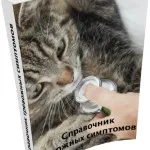 Як лікувати пухлину у кішки