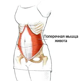 Як накачати прес, happy lady, щаслива жінка (happy) Як накачати прес, happy lady, щаслива жінка