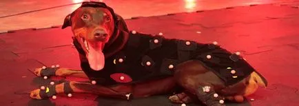 Як почати працювати з motion capture (capture) Як почати працювати з motion capture