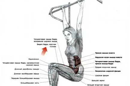 Як накачати прес вправи для дому та залу, trainingbody (прес) Як накачати прес вправи для дому та залу, trainingbody