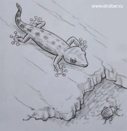 Як намалювати ящірку