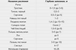 Як визначити глибину залягання грунтових вод сучасні та народні способи (сучасні) Як визначити глибину залягання грунтових вод сучасні та народні способи