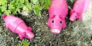 Як обштукатурити стіни своїми руками - поради професіоналів (своїми) Як обштукатурити стіни своїми руками - поради професіоналів