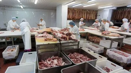 Як відкрити міні цех по виробництву ковбаси обладнання, технологія (відкрити) Як відкрити міні цех по виробництву ковбаси обладнання, технологія