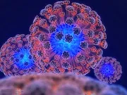 Як передається ВІЛ в побуті бритва, зубна щітка, масаж, посуд, громадський туалет (масаж) Як передається ВІЛ в побуті бритва, зубна щітка, масаж, посуд, громадський туалет