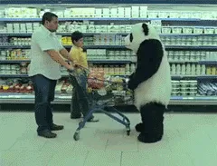 Як перед доном педро незручно