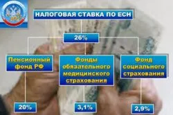 Як платять соціальний податок ип (податок) Як платять соціальний податок ип
