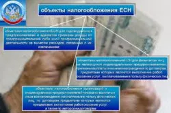 Як платять соціальний податок ип (податок) Як платять соціальний податок ип