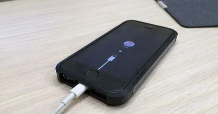 Як оживити заблокований iphone (iphone) Як оживити заблокований iphone
