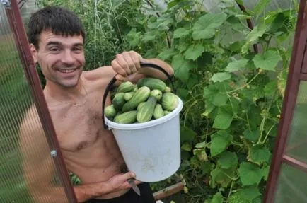 Як платити податки за ділянку суспільство - вечірній Харків (ділянка) Як платити податки за ділянку суспільство - вечірній Харків