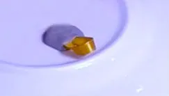 Декоративні тарілки на стіну - перетворюємо стіни! (30 фото) (тарілки на стіні фото) Декоративні тарілки на стіну - перетворюємо стіни! (30 фото)