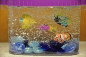 Декоративний акваріум своїми руками, краса своїми руками (нове своїми руками) Декоративний акваріум своїми руками, краса своїми руками