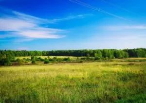 Як отримати іпотеку на земельну ділянку або будинок з ділянкою (отримати) Як отримати іпотеку на земельну ділянку або будинок з ділянкою