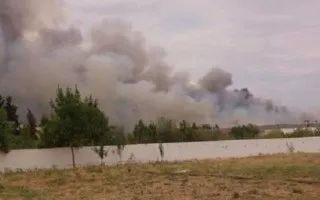 Як познайомитися з дівчиною на пляжі чоловічі новини - літо - і так хочеться жіночої уваги, що (знайомство) Як познайомитися з дівчиною на пляжі чоловічі новини - літо - і так хочеться жіночої уваги, що