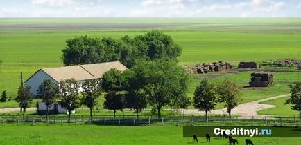 Як отримати субсидію починаючому фермеру (субсидію) Як отримати субсидію починаючому фермеру