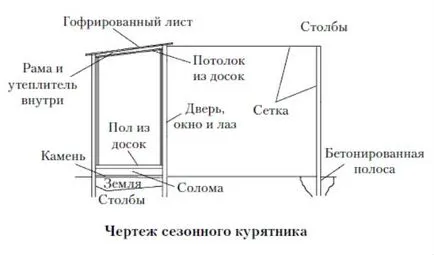 Як побудувати курник на 10 курей своїми руками-інструкція і креслення