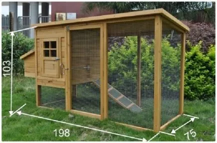 Як побудувати курник на 10 курей своїми руками-інструкція і креслення