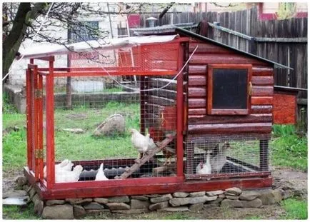 Як побудувати курник на 10 курей своїми руками-інструкція і креслення