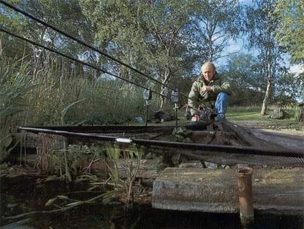 Як підібрати снасті для коропа
