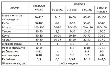 Як правильно годувати британську кішку - здорове харчування (як правильно годувати британську кішку) Як правильно годувати британську кішку - здорове харчування