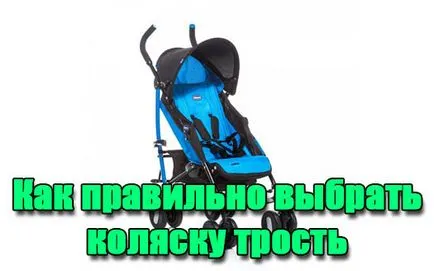 Як правильно вибрати коляску тростину - основні секрети і способи (тростину) Як правильно вибрати коляску тростину - основні секрети і способи
