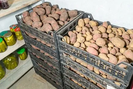 Як правильно підготувати льох-підвал до тривалого зберігання овочів і закруток
