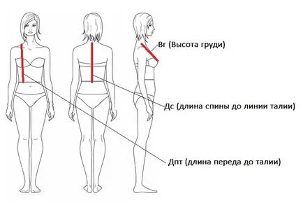Як правильно зняти мірки з жіночої фігури і змінити викрійку з журналу під себе (жіночої) Як правильно зняти мірки з жіночої фігури і змінити викрійку з журналу під себе
