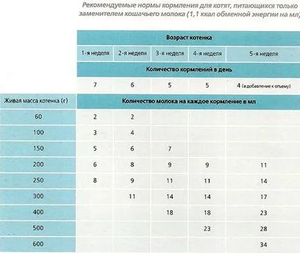 Як правильно годувати британську кішку - здорове харчування (догляд) Як правильно годувати британську кішку - здорове харчування