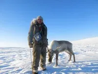 Як приручити оленя