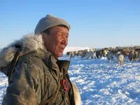 Як приручити оленя