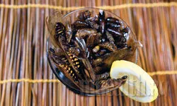 Як приготувати комах своїми руками (комах) Як приготувати комах своїми руками
