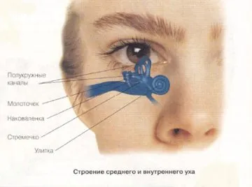 Як проводиться вестибулометрія свідчення, суть процедури, діагностична цінність (вестибулометрія де зробити) Як проводиться вестибулометрія свідчення, суть процедури, діагностична цінність