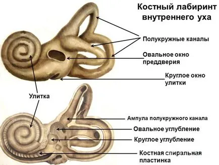 Як проводиться вестибулометрія свідчення, суть процедури, діагностична цінність (вестибулометрія де зробити) Як проводиться вестибулометрія свідчення, суть процедури, діагностична цінність