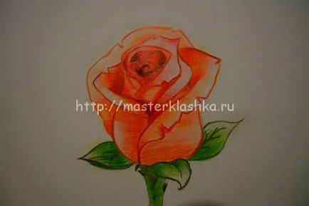 Як малюється троянда, мастерклашка