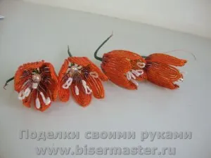 Як зробити з бісеру рябчик імператорський або царська корона, бісер майстер