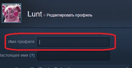 Як зробити невидимий нік в стиме (стиме) Як зробити невидимий нік в стиме
