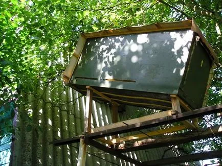 Як зробити пастки для бджіл своїми руками (бджіл Пастка бджіл) Як зробити пастки для бджіл своїми руками