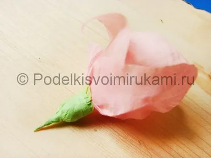 Як зробити гладіолуси з паперу (виріб) Як зробити гладіолуси з паперу