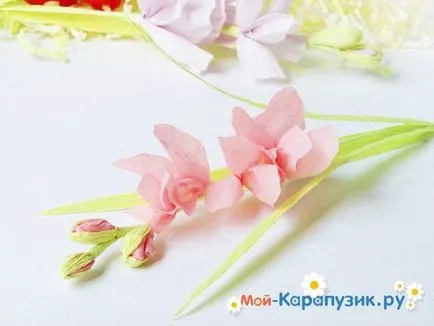 Як зробити гладіолуси з паперу своїми руками (надаємо опуклу форму) Як зробити гладіолуси з паперу своїми руками