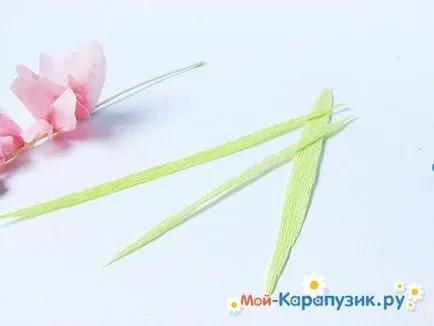 Як зробити гладіолуси з паперу своїми руками (руками) Як зробити гладіолуси з паперу своїми руками
