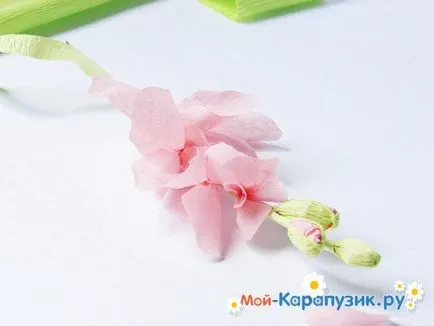 Як зробити гладіолуси з паперу своїми руками (своїми) Як зробити гладіолуси з паперу своїми руками