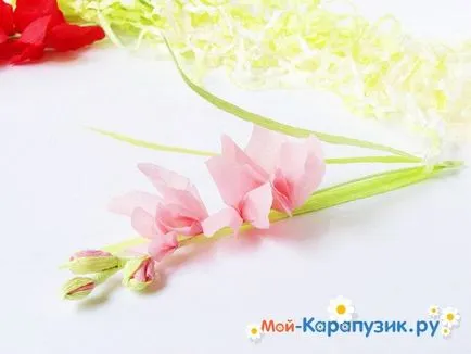 Як зробити гладіолуси з паперу своїми руками (руками) Як зробити гладіолуси з паперу своїми руками