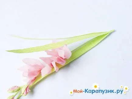 Як зробити гладіолуси з паперу своїми руками (зробити) Як зробити гладіолуси з паперу своїми руками