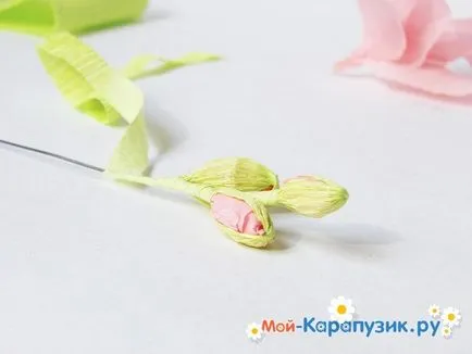 Як зробити гладіолуси з паперу своїми руками (зробити) Як зробити гладіолуси з паперу своїми руками