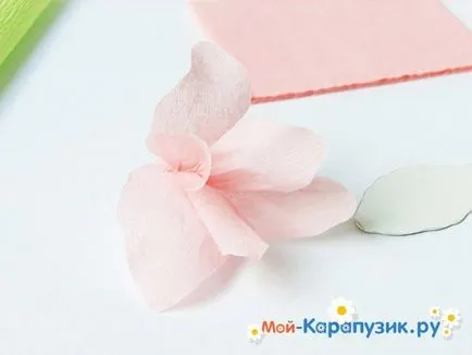 Як зробити гладіолуси з паперу своїми руками (руками) Як зробити гладіолуси з паперу своїми руками