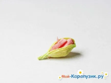 Як зробити гладіолуси з паперу своїми руками (гладіолуси) Як зробити гладіолуси з паперу своїми руками