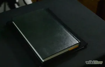 Як створити профіль персонажа кота воїна (кота) Як створити профіль персонажа кота воїна