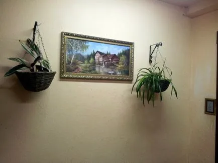 Як створити унікальний і затишний інтер'єр сходової площадки (місця загального користування) Як створити унікальний і затишний інтер'єр сходової площадки