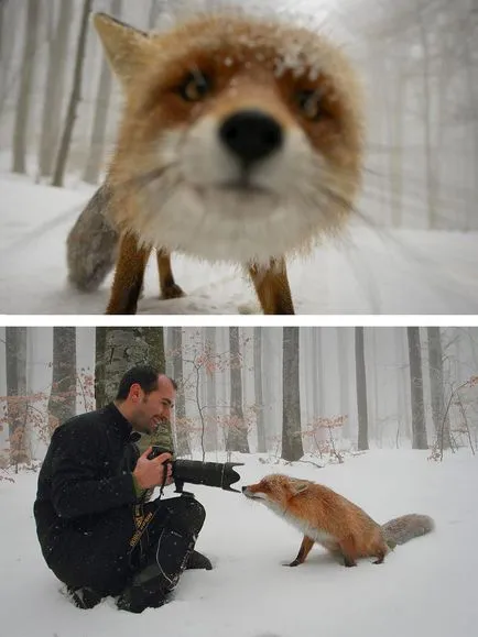 Як знімають красиві фотографії - кращі фото!