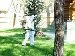 Як труїти кліщів на ділянці дачі